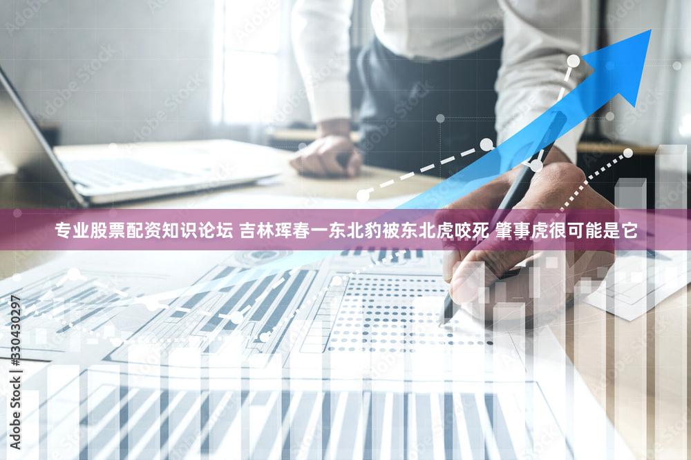 专业股票配资知识论坛 吉林珲春一东北豹被东北虎咬死 肇事虎很可能是它