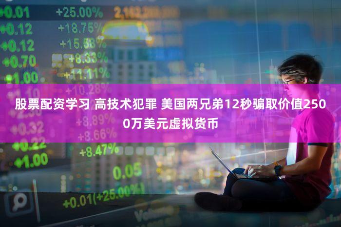 股票配资学习 高技术犯罪 美国两兄弟12秒骗取价值2500万美元虚拟货币