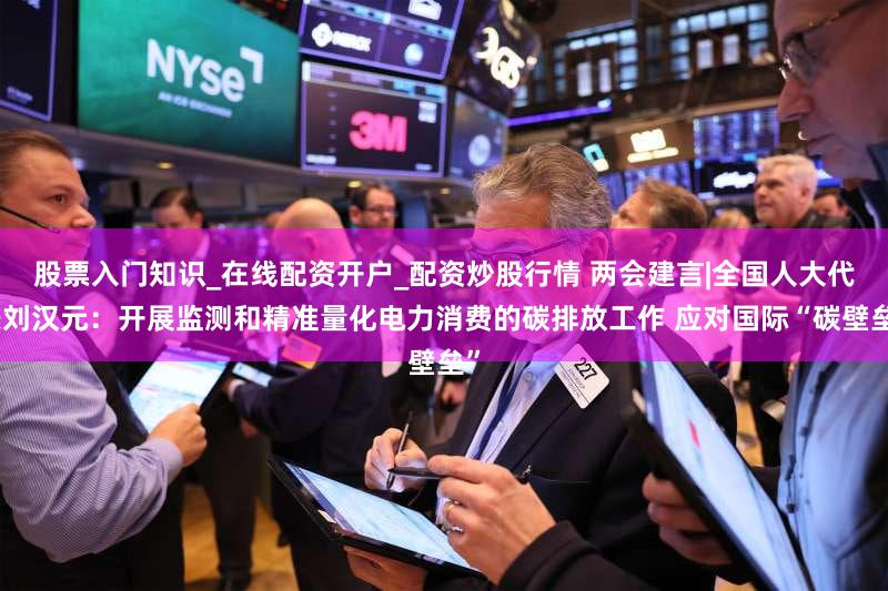 股票入门知识_在线配资开户_配资炒股行情 两会建言|全国人大代表刘汉元：开展监测和精准量化电力消费的碳排放工作 应对国际“碳壁垒”