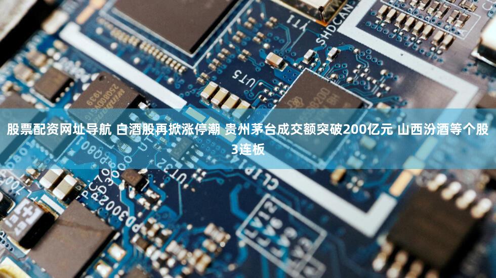 股票配资网址导航 白酒股再掀涨停潮 贵州茅台成交额突破200亿元 山西汾酒等个股3连板