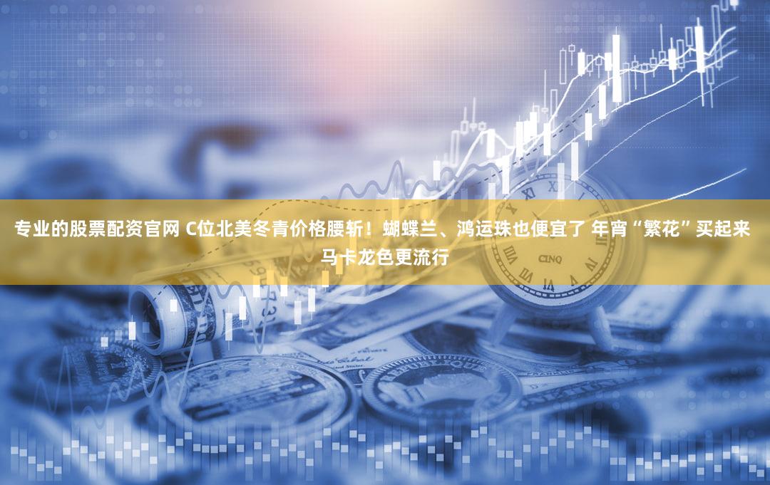 专业的股票配资官网 C位北美冬青价格腰斩！蝴蝶兰、鸿运珠也便宜了 年宵“繁花”买起来 马卡龙色更流行