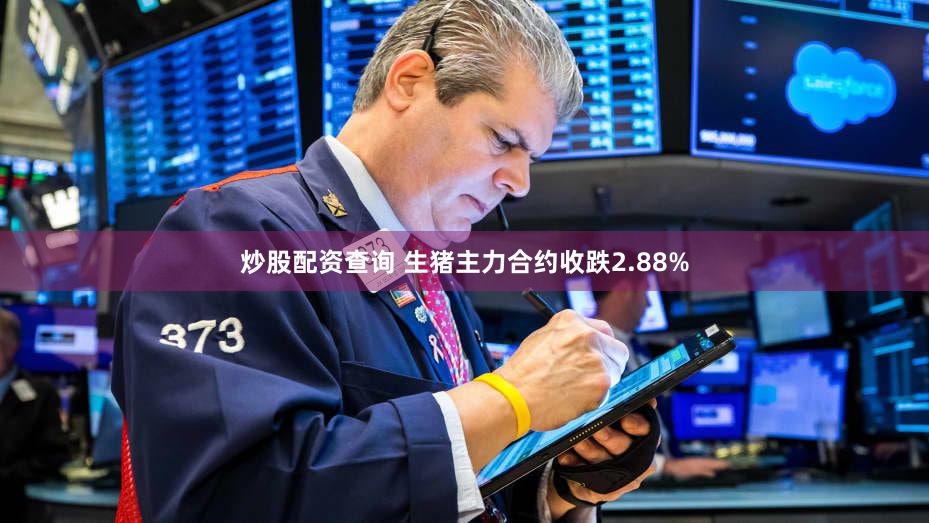 炒股配资查询 生猪主力合约收跌2.88%
