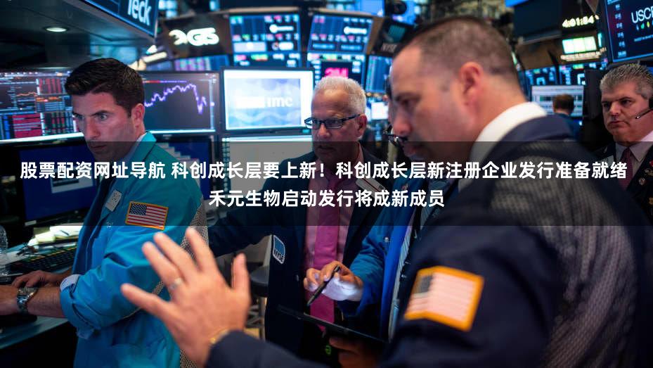 股票配资网址导航 科创成长层要上新！科创成长层新注册企业发行准备就绪 禾元生物启动发行将成新成员