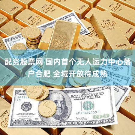 配资股票网 国内首个无人运力中心落户合肥 全域开放待成熟